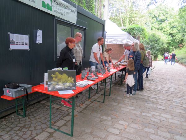 Unsere Mineralien
