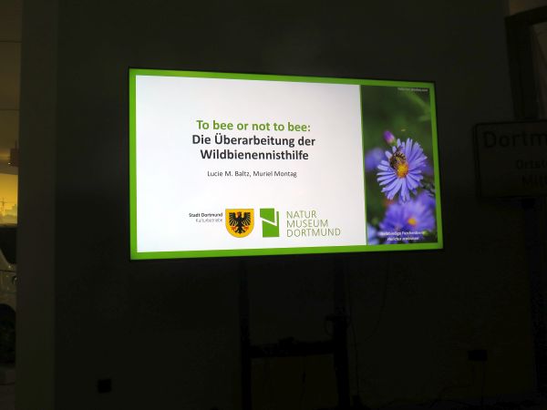 Vortrag Wildbienen