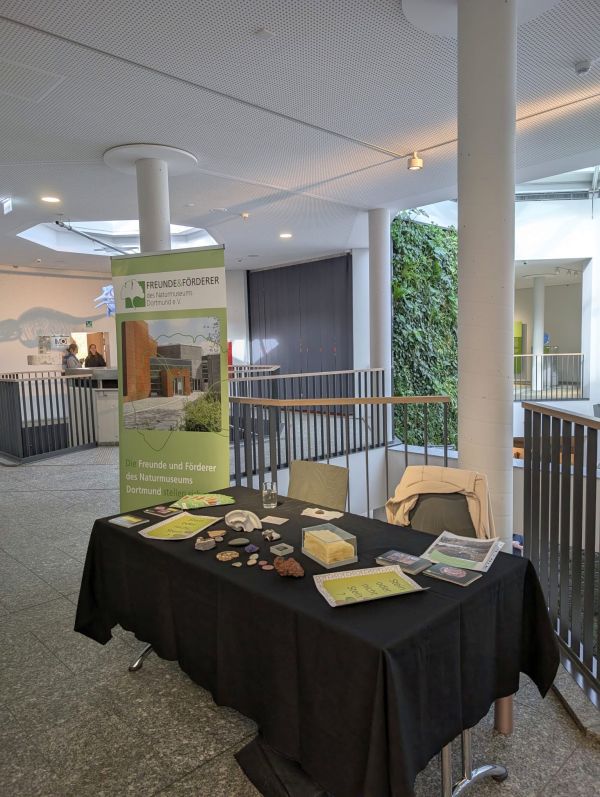 Der Stand