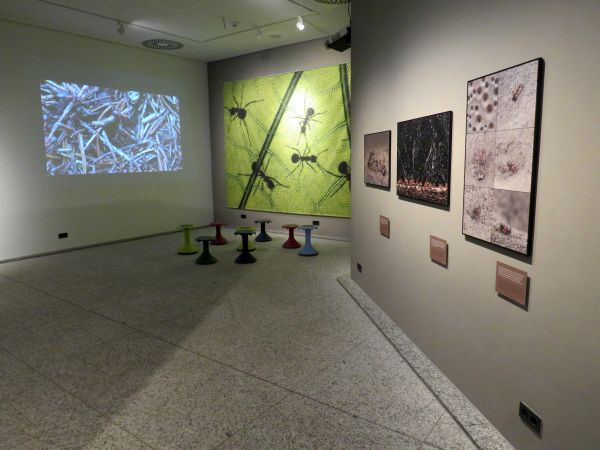 Sonderausstellung 1
