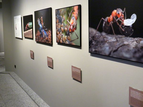 Sonderausstellung 2