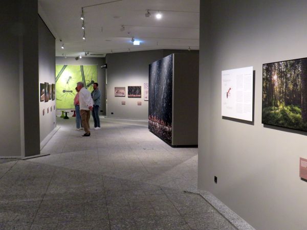 Sonderausstellung 5