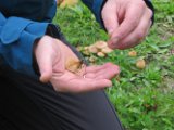 Pilzexkursion im Schwerter Wald am 02.10.2022 (34)