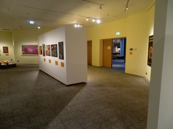 Sonderausstellung Bienen