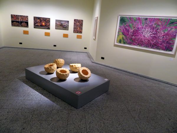 Sonderausstellung Bienen