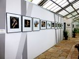 Fotoausstellung Samen von Paul Marx