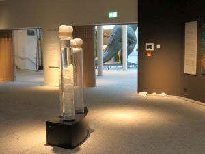 Sonderausstellung Waser