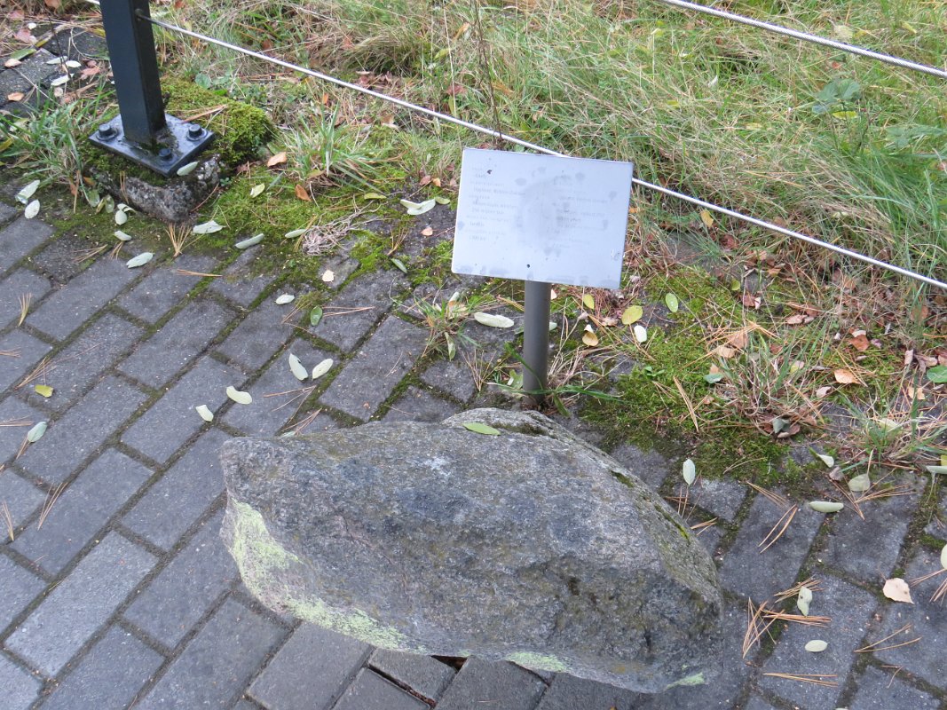 Museonder am 17.10.2026 (14)