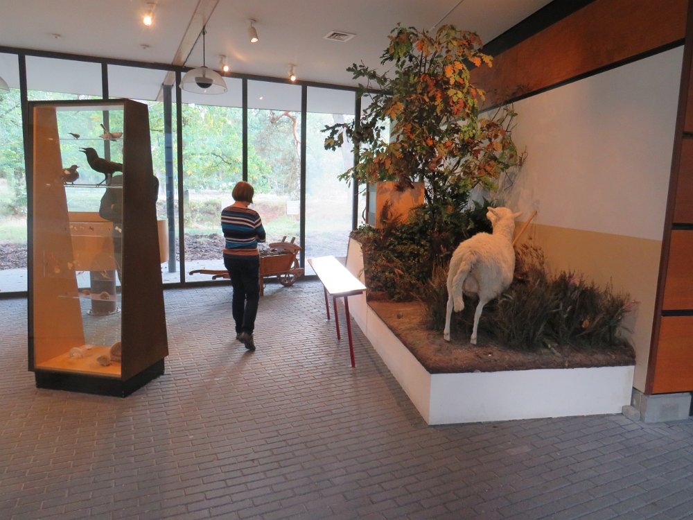 Museonder am 17.10.2026 (35)