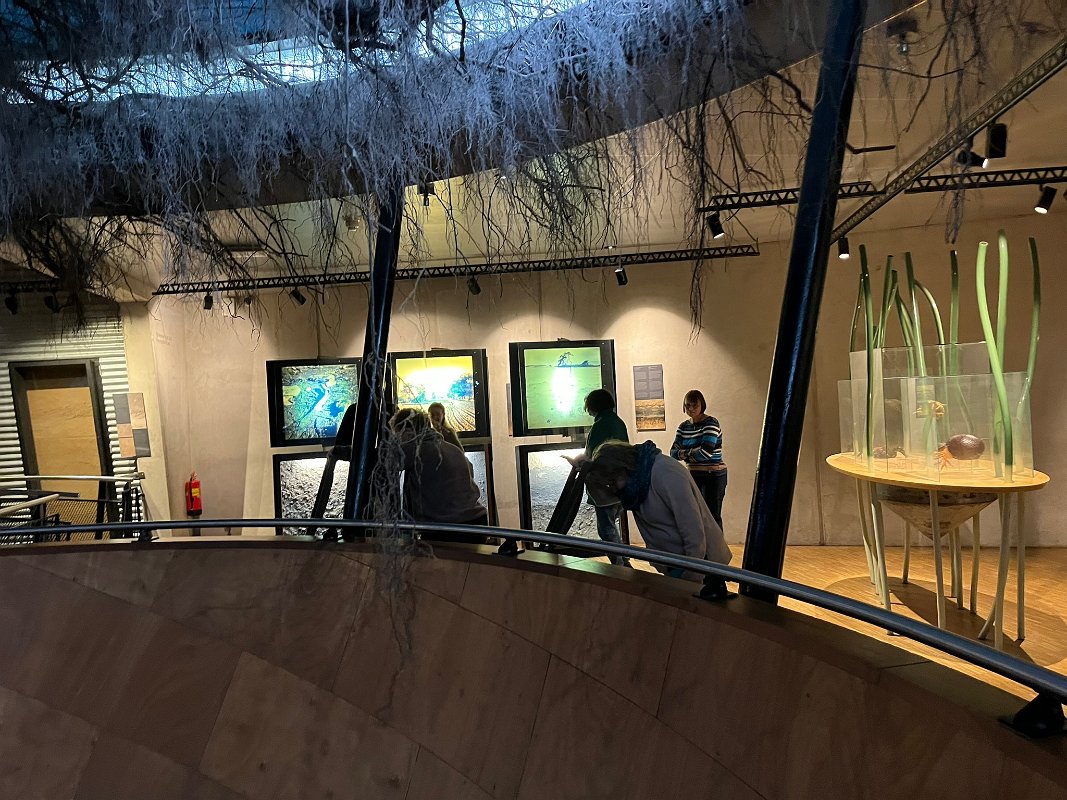 Museonder am 17.10.2026 (5)
