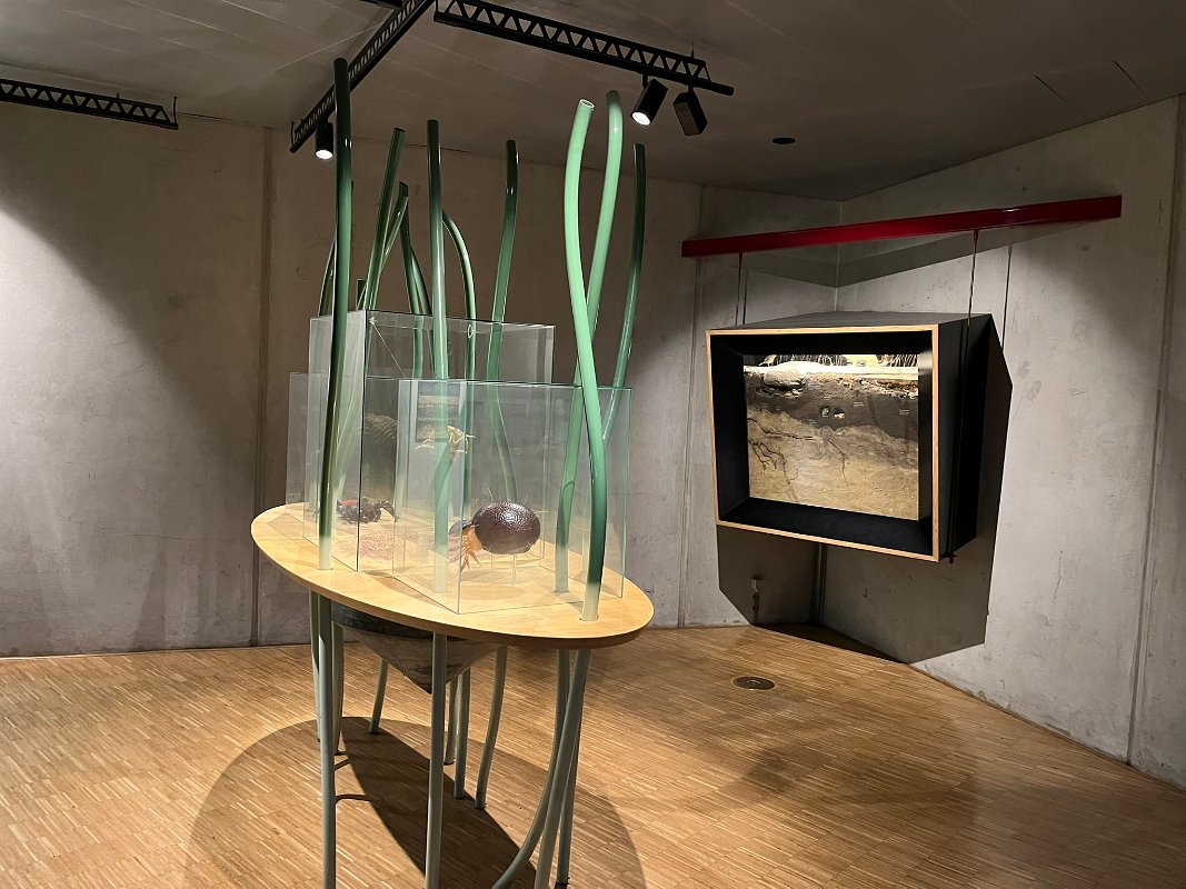 Museonder am 17.10.2026 (7)