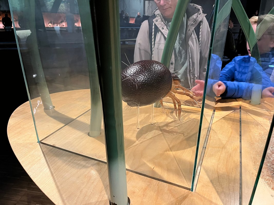 Museonder am 17.10.2026 (8)