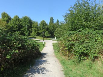 Tremoniapark am 24. August 2019 (9)