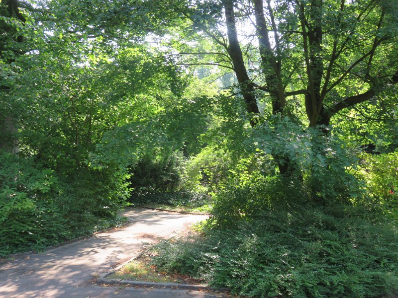 Hauptfriedhof am 25. August 2019 (26)