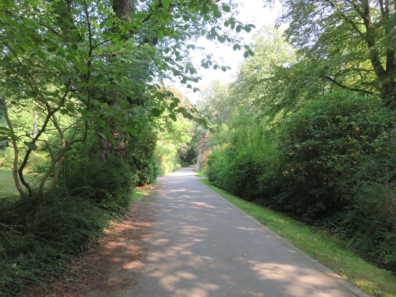 Hauptfriedhof am 25. August 2019 (32)