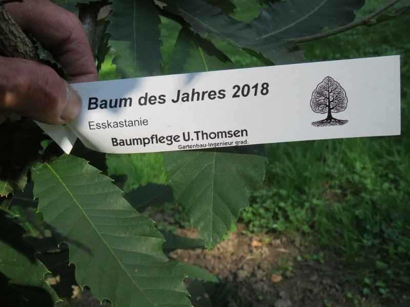 Hauptfriedhof am 25. August 2019 (50)