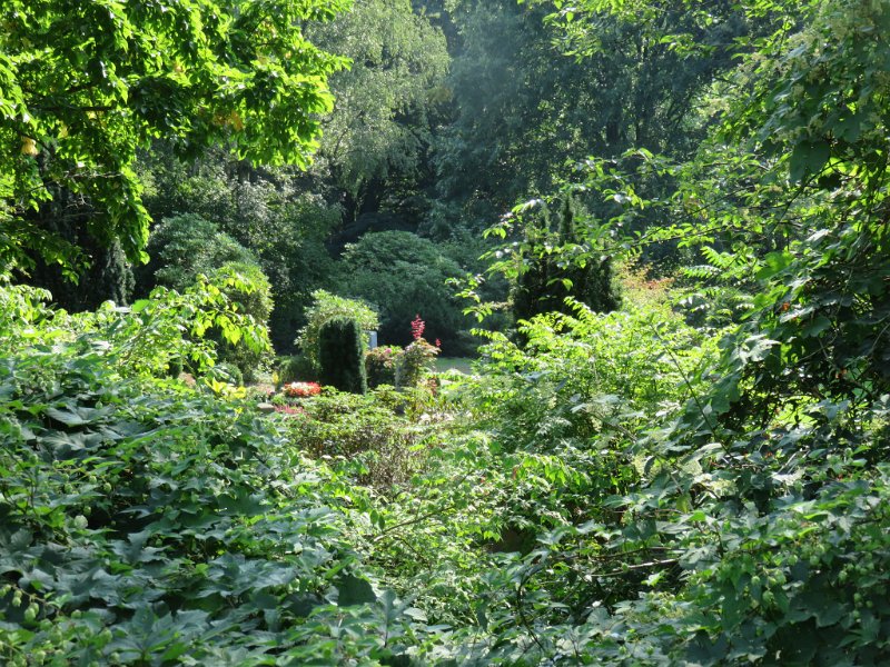Hauptfriedhof am 25. August 2019 (8)