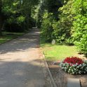 Hauptfriedhof am 25. August 2019 (41)