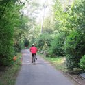 Hauptfriedhof am 25. August 2019 (46)