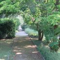 Hauptfriedhof am 25. August 2019 (9)