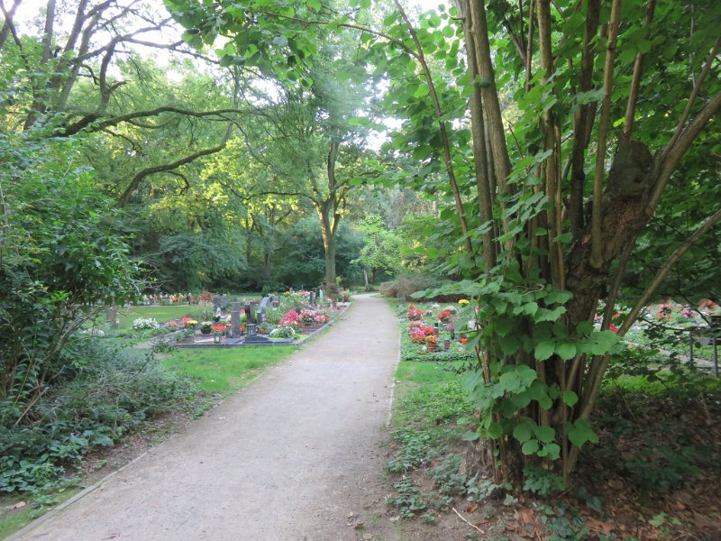 Ostfriedhof am 23. August 2019 (15)