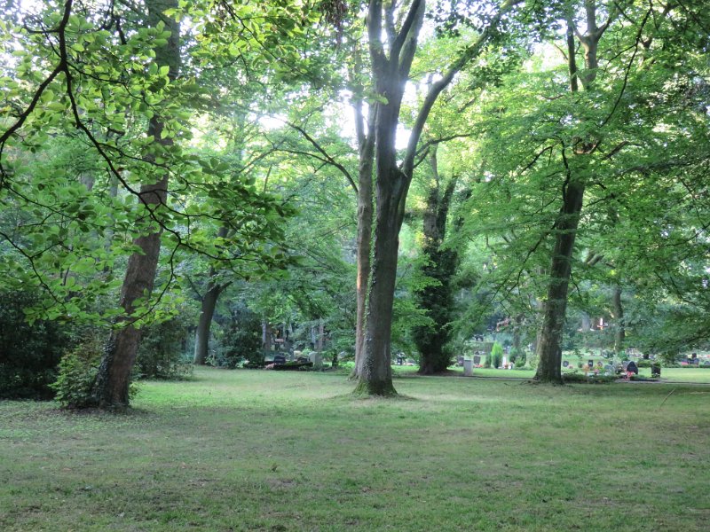 Ostfriedhof am 23. August 2019 (26)