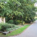 Ostfriedhof am 23. August 2019 (21)