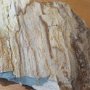 Steinbruch Langenaubach (Westerwald): versteinertes Holz