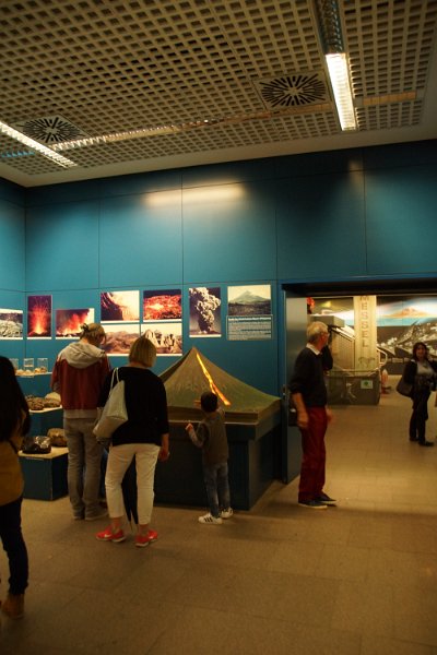 Eine Exkursion in das Senckenberg-Museum