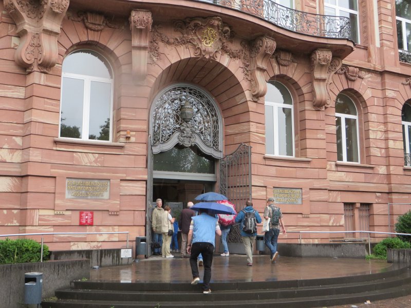 Eine Exkursion in das Senckenberg-Museum