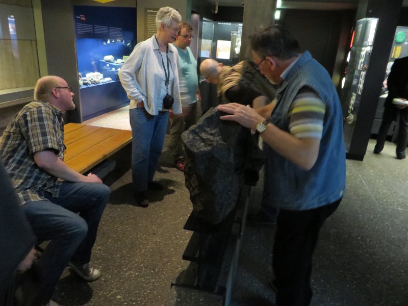 Eine Exkursion in das Senckenberg-Museum