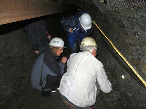 Suche nach Fossilien im Tongestein