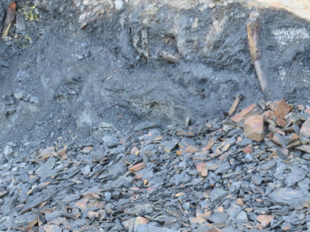 Piesberg am 28.09.2025 (31)