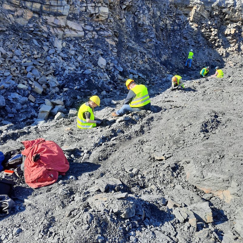 Piesberg am 28.9.2025 (139)